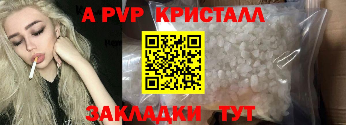 A PVP СК Североморск