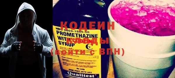 МДПВ Нея