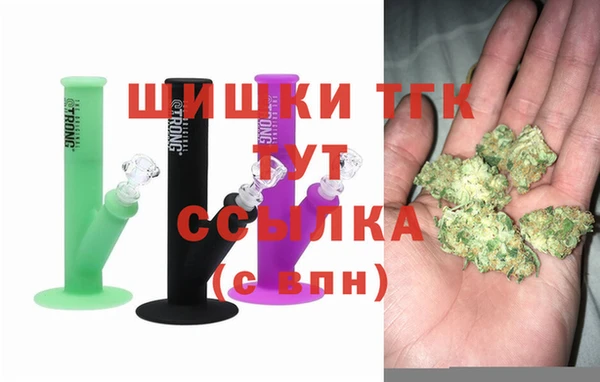 МДПВ Нея