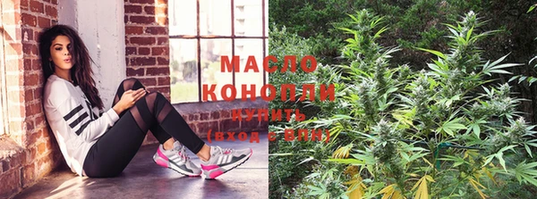 МДПВ Нея