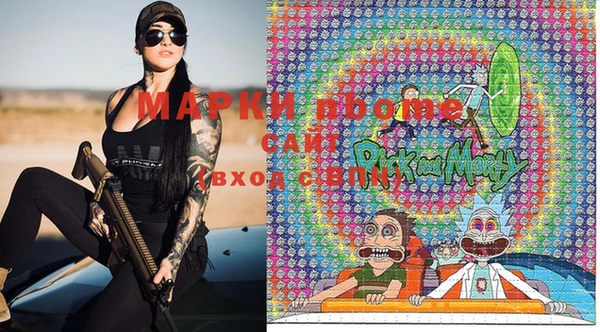 МДПВ Нея