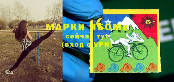 МДПВ Нея