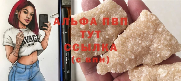 МДПВ Нея