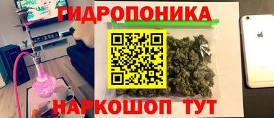 сатива Обнинск