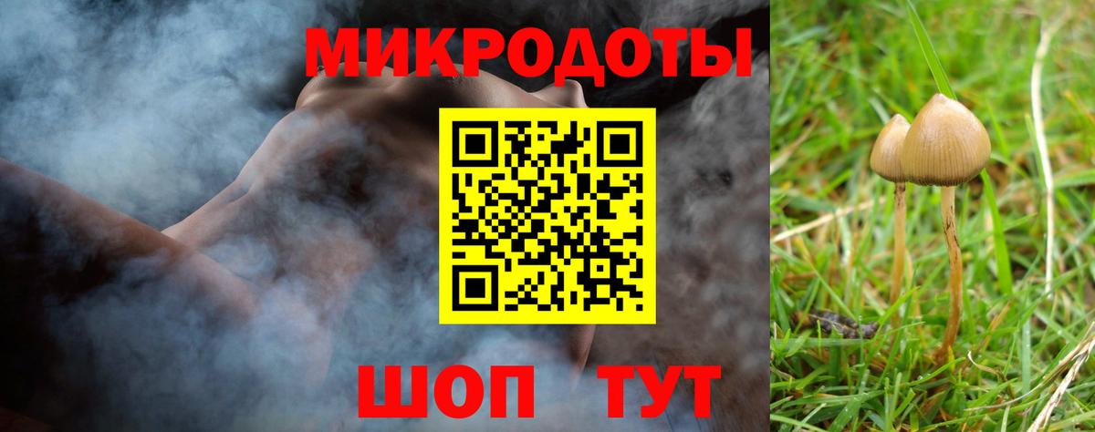 Североморск  Галлюциногенные грибы Cubensis  Вход с VPN  Галлюциногенные грибы Psilocybine cubensis 